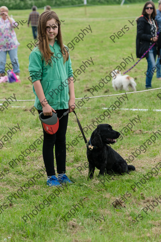 NRC Dog Show 017 
 Naphill Riding Club Open Show 
 Keywords: Naphill Riding Club, Open Show, Equestrian, Piers Photography, Bucks Wedding Photographer