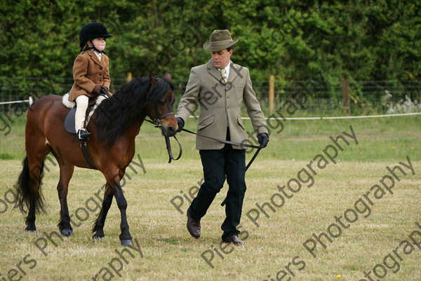 Leading Rein 35 
 NRCS Class 17 Leading Rein