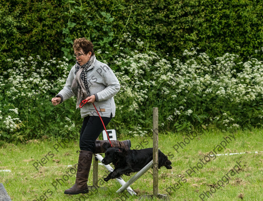 NRC Dog Show 064 
 Naphill Riding Club Open Show 
 Keywords: Naphill Riding Club, Open Show, Equestrian, Piers Photography, Bucks Wedding Photographer