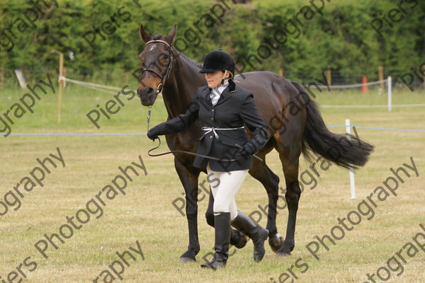 In Hnad Veteran Horse 21 
 NRCS Class 22 In Hand Veteran Horse