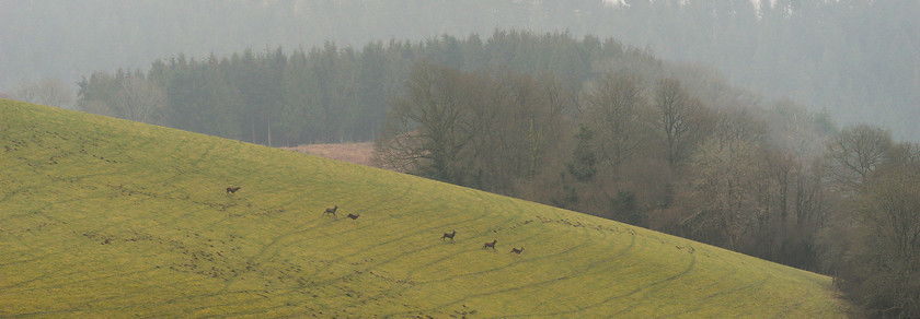 Hunting Exmoor 130 
 The Devon and Somerset Stag Hounds 
 Keywords: Buckingahmshire wedding photographer, Exmoor, Piers Photography, Withypool, the Devon and Somerset Stag Hounds