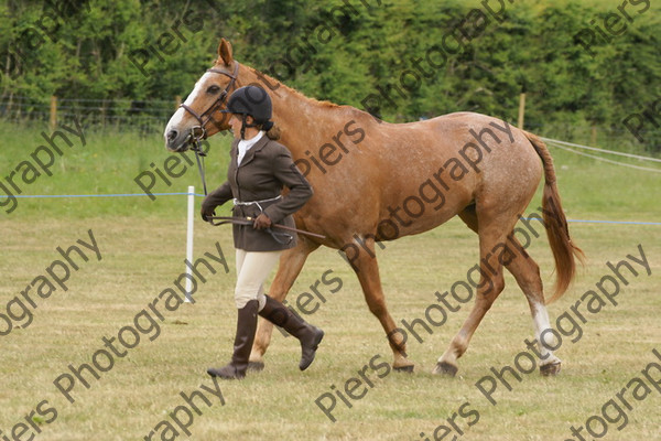 Ridden Veteran Horse 034 
 NRCS Class 23 Ridden Veteran Horse