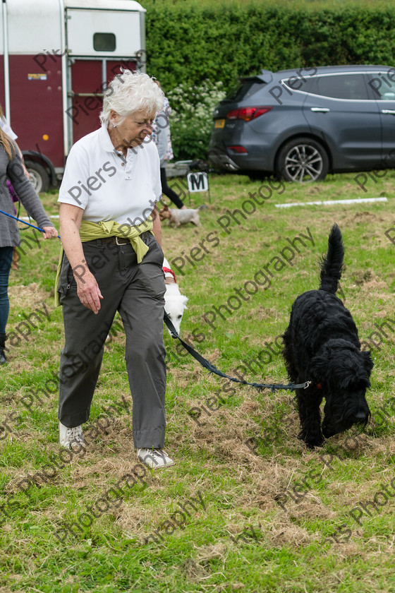 NRC Dog Show 029 
 Naphill Riding Club Open Show 
 Keywords: Naphill Riding Club, Open Show, Equestrian, Piers Photography, Bucks Wedding Photographer