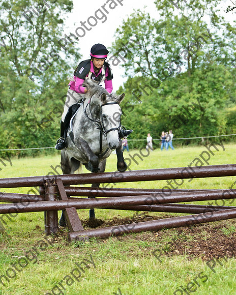 LSE horse trials 063 
 LSE Horse trials 
 Keywords: London and South East Horse Trials, Piers Photo