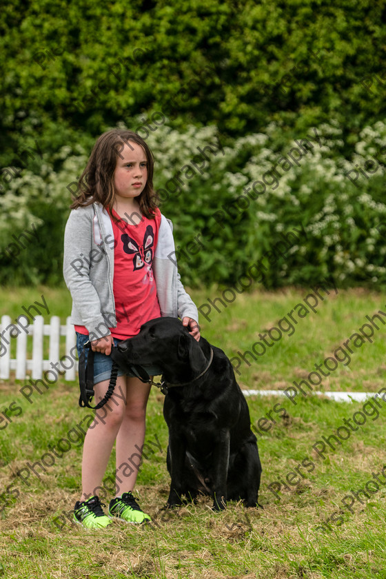 NRC Dog Show 037 
 Naphill Riding Club Open Show 
 Keywords: Naphill Riding Club, Open Show, Equestrian, Piers Photography, Bucks Wedding Photographer