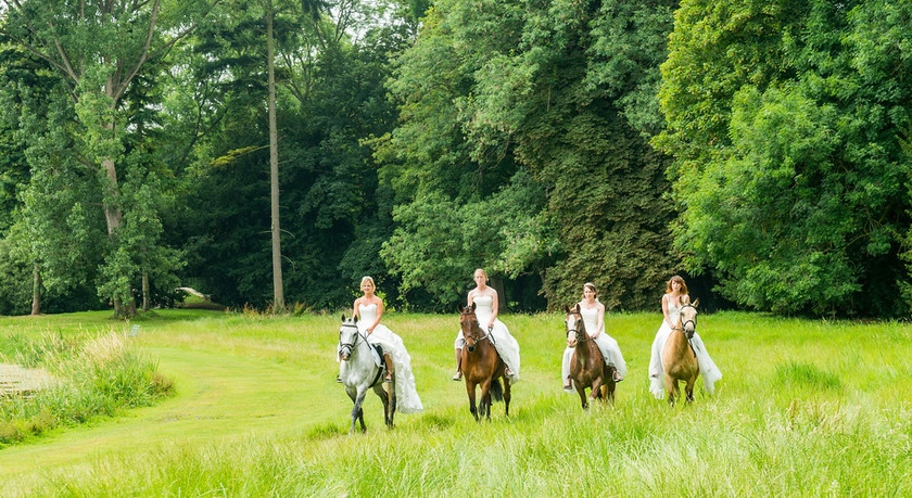 WWE Bridal Horse shoot 012 
 West Wycombe Horse shoot 
 Keywords: Buckinghamshire wedding photographer, Horses, Piers Photo, Summer, West Wycombe House