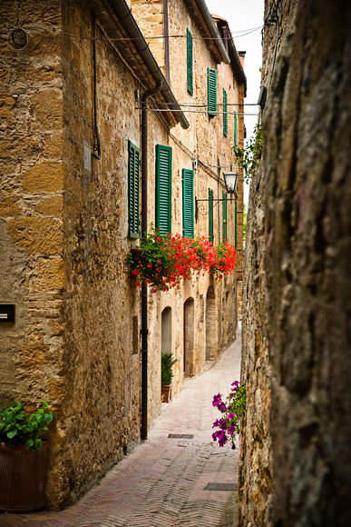 Italian Hols 374 
 Pienza