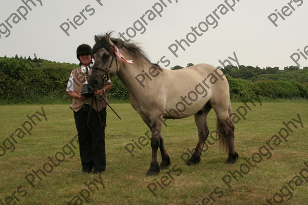 Others 41 
 Naphill Riding Club Show 2011