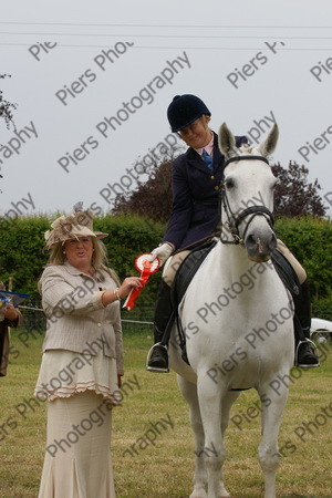 Ridden Veteran Horse 037 
 NRCS Class 23 Ridden Veteran Horse