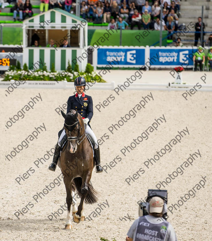 Freestle dressage WEG 033 
 WEG 2014 Freestyle dressage