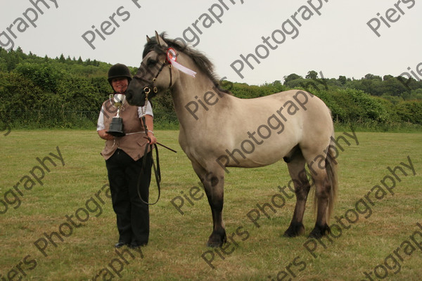 Others 36 
 Naphill Riding Club Show 2011