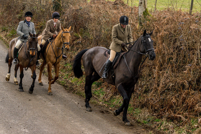 Hunting Exmoor 154 
 The Devon and Somerset Stag Hounds 
 Keywords: Buckingahmshire wedding photographer, Exmoor, Piers Photography, Withypool, the Devon and Somerset Stag Hounds