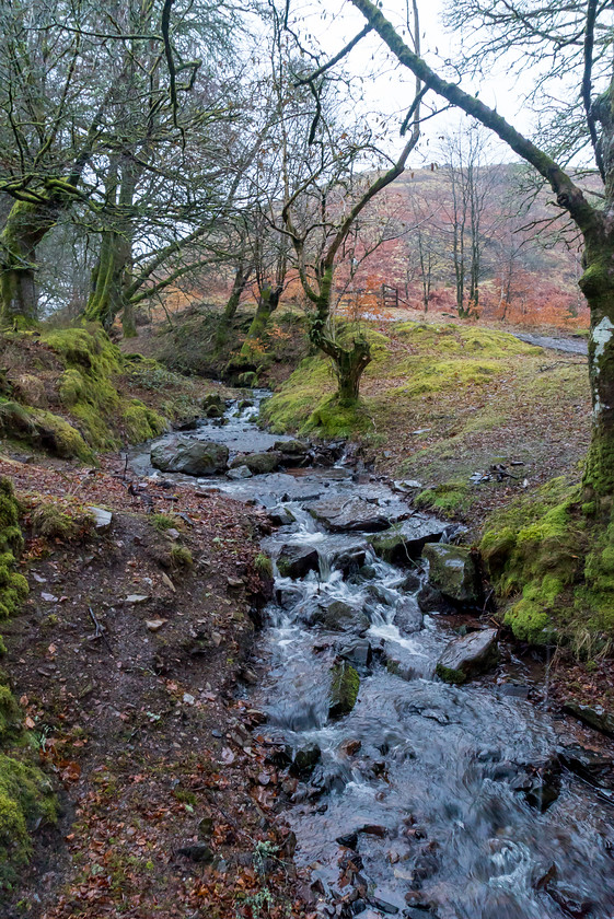 Exmoor 012 
 Exmoor 
 Keywords: Buckinghamshire wedding photographer, Exford, Exmoor, Piers Photography, Robbers Bridge