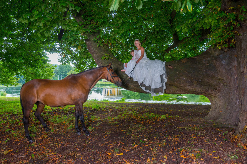 WWE Bridal tree 028 
 West Wycombe Horse shoot 
 Keywords: Buckinghamshire wedding photographer, Horses, Piers Photo, Summer, West Wycombe House