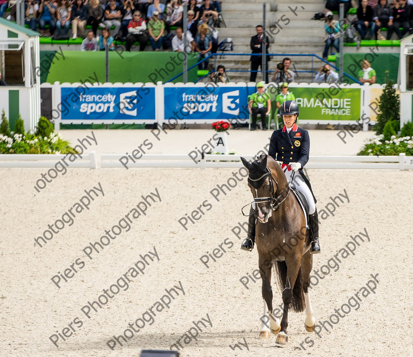 Freestle dressage WEG 031 
 WEG 2014 Freestyle dressage