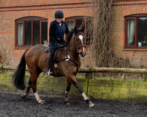 Ollie and Blyth Lesson 05 
 Ollie and Blyth Lesson 
 Keywords: Piers Photo, Moses Plat Yard, Ollie, Blyth, Mary Hilder, Jo Reynolds