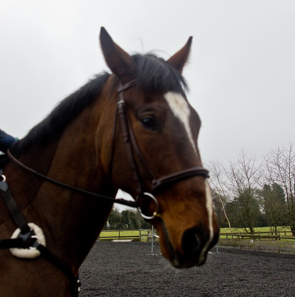 Ollie and Blyth Lesson 12 
 Ollie and Blyth Lesson 
 Keywords: Piers Photo, Moses Plat Yard, Ollie, Blyth, Mary Hilder, Jo Reynolds