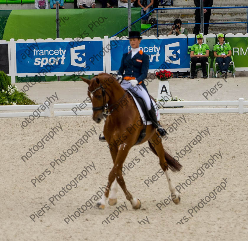 Freestle dressage WEG 050 
 WEG 2014 Freestyle dressage