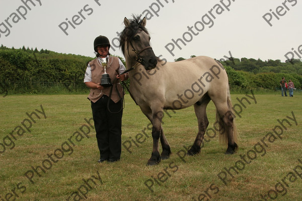 Others 37 
 Naphill Riding Club Show 2011