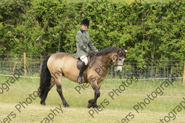 Family Horse 05 
 NRCS Class 20 Family Horse