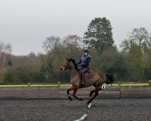 Ollie and Blyth Lesson 15 
 Ollie and Blyth Lesson 
 Keywords: Piers Photo, Moses Plat Yard, Ollie, Blyth, Mary Hilder, Jo Reynolds