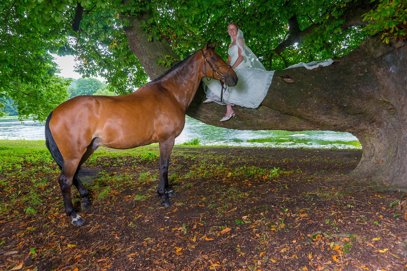 WWE Bridal tree 034 
 West Wycombe Horse shoot 
 Keywords: Buckinghamshire wedding photographer, Horses, Piers Photo, Summer, West Wycombe House