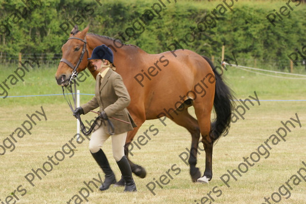 Ridden Veteran Horse 031 
 NRCS Class 23 Ridden Veteran Horse