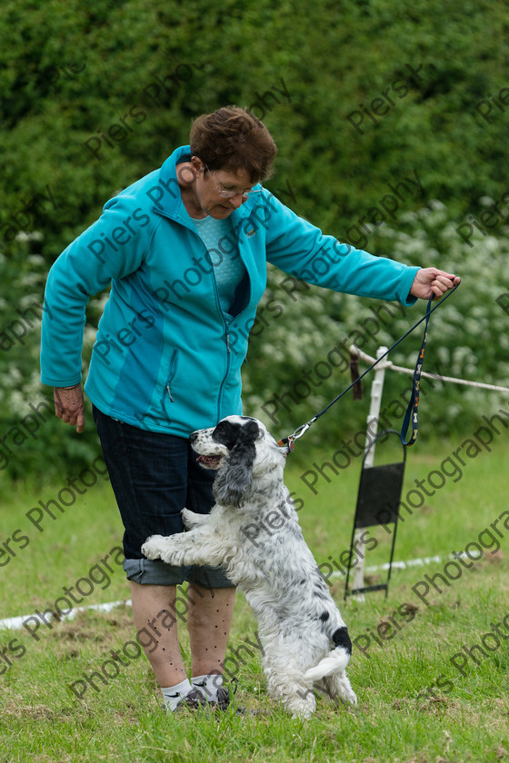 NRC Dog Show 010 
 Naphill Riding Club Open Show 
 Keywords: Naphill Riding Club, Open Show, Equestrian, Piers Photography, Bucks Wedding Photographer