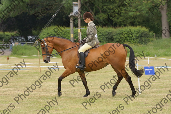 Ridden Veteran Horse 023 
 NRCS Class 23 Ridden Veteran Horse