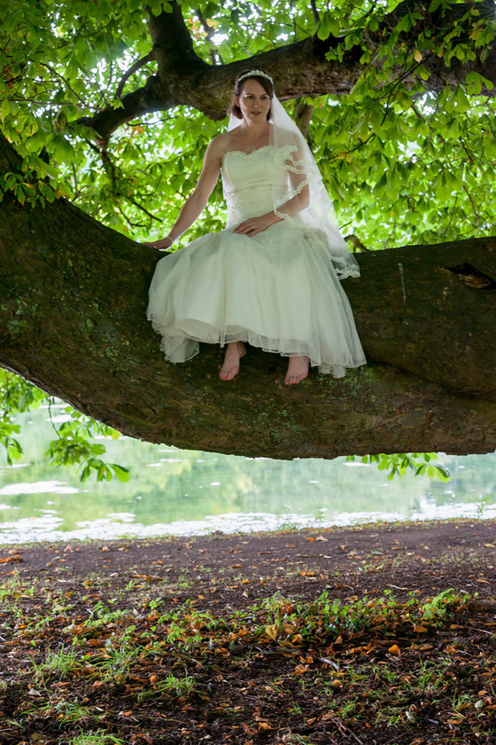 WWE Bridal tree 040 
 West Wycombe Horse shoot 
 Keywords: Buckinghamshire wedding photographer, Horses, Piers Photo, Summer, West Wycombe House