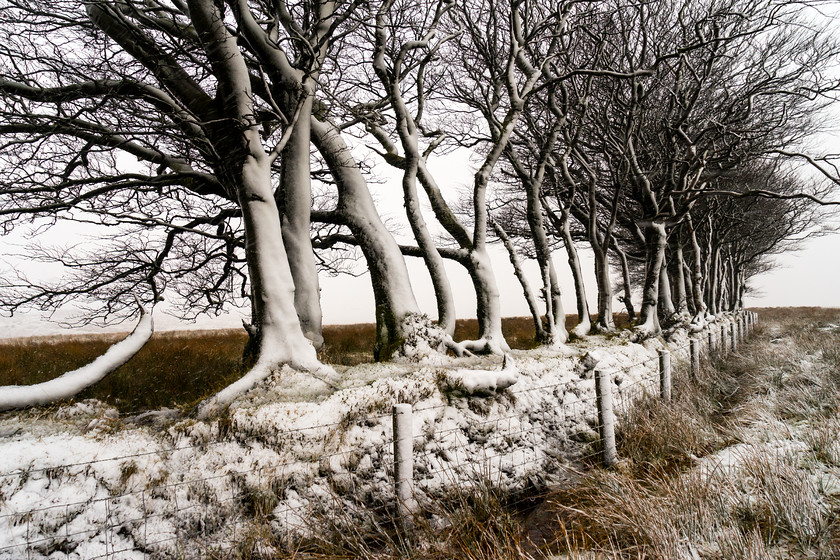 Exmoor 023 
 Exmoor 
 Keywords: Buckinghamshire wedding photographer, Exford, Exmoor, Piers Photography, Robbers Bridge