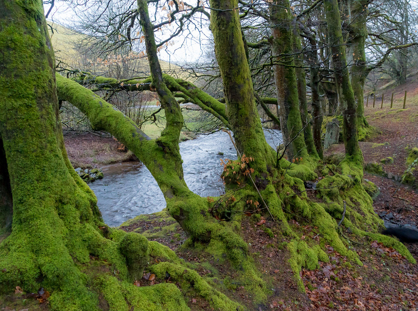 Exmoor 005 
 Exmoor 
 Keywords: Buckinghamshire wedding photographer, Exford, Exmoor, Piers Photography, Robbers Bridge