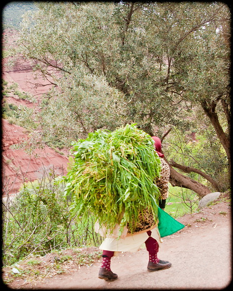 Atlas Mountains Trip 022 
 Keywords: Marrakesh, Morocco, Piers Photography