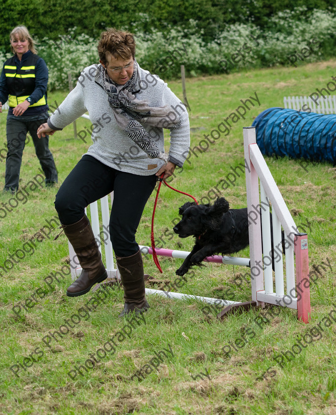 NRC Dog Show 072 
 Naphill Riding Club Open Show 
 Keywords: Naphill Riding Club, Open Show, Equestrian, Piers Photography, Bucks Wedding Photographer