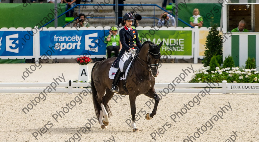 Freestle dressage WEG 037 
 WEG 2014 Freestyle dressage