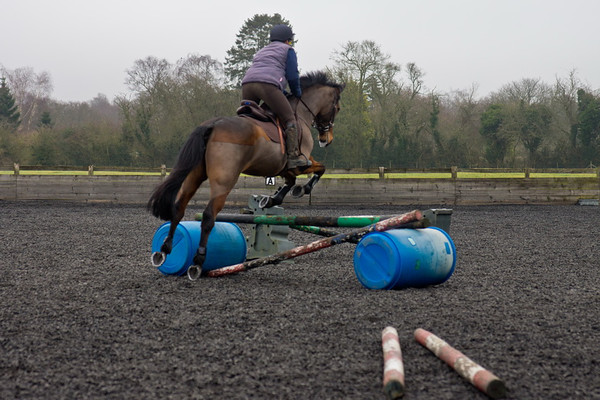 Ollie and Blyth Lesson 38 
 Ollie and Blyth Lesson 
 Keywords: Piers Photo, Moses Plat Yard, Ollie, Blyth, Mary Hilder, Jo Reynolds