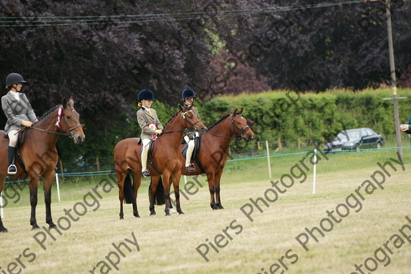 Ridden Hunter 030 
 NRCS Class 14 Ridden Hunter