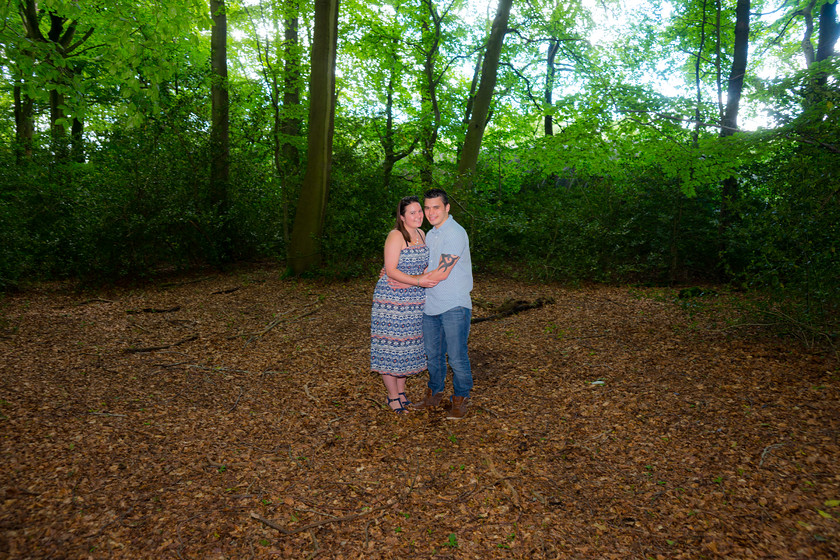 Jessica and Oliver 006 
 Jessica and Oliver 
 Keywords: Bridal portraits woodlands, Buckinghamshire wedding photographer pre wedding shoot