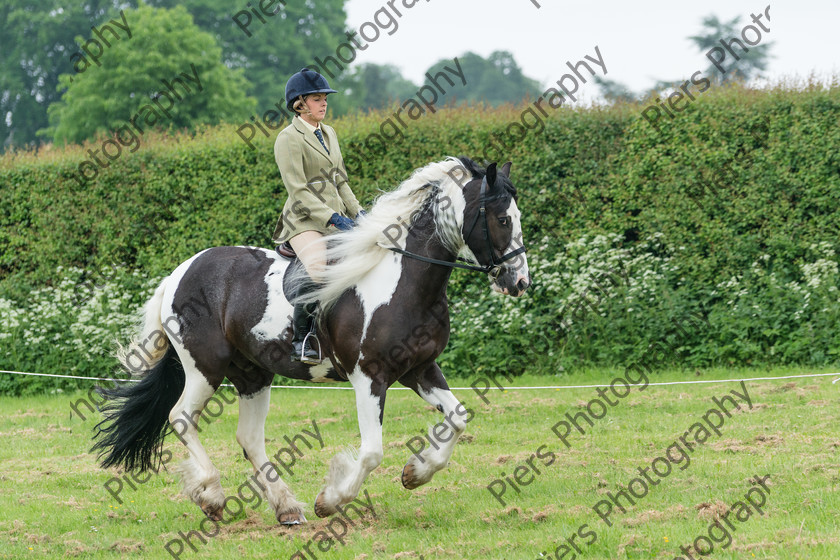 Ring 2 Afternoon 009 
 Naphill Riding Club Open Show 
 Keywords: Naphill Riding Club, Open Show, Equestrian, Piers Photography,
Bucks Wedding Photographer