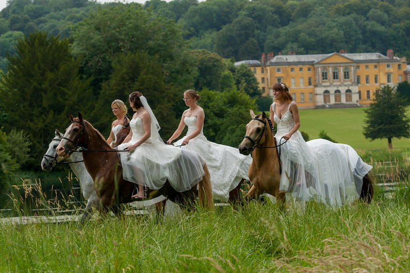 WWE Bridal Horse shoot 029 
 West Wycombe Horse shoot 
 Keywords: Buckinghamshire wedding photographer, Horses, Piers Photo, Summer, West Wycombe House