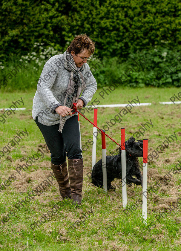 NRC Dog Show 068 
 Naphill Riding Club Open Show 
 Keywords: Naphill Riding Club, Open Show, Equestrian, Piers Photography, Bucks Wedding Photographer