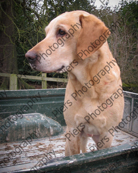 Beaters Day & Dinner 44 
 Keywords: West Wycombe Park, Piers Photo, Shooting