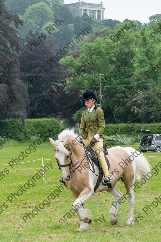 Ring 2 Afternoon 025 
 Naphill Riding Club Open Show 
 Keywords: Naphill Riding Club, Open Show, Equestrian, Piers Photography,
Bucks Wedding Photographer