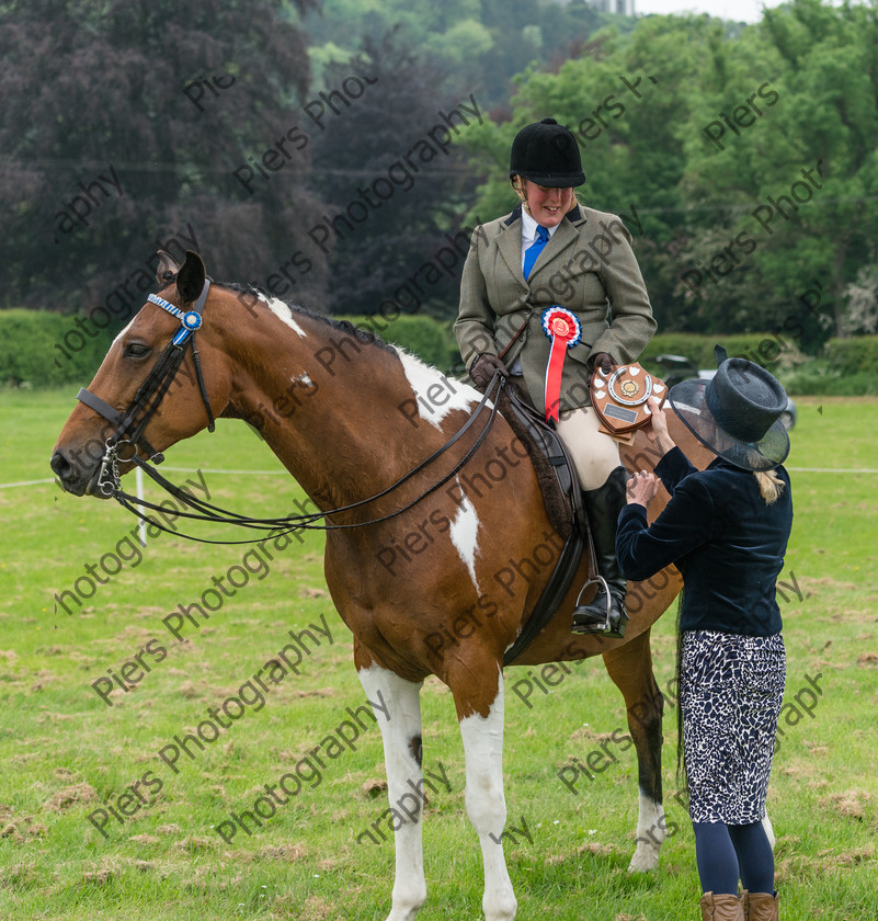 Ring 2 Afternoon 041 
 Naphill Riding Club Open Show 
 Keywords: Naphill Riding Club, Open Show, Equestrian, Piers Photography,
Bucks Wedding Photographer