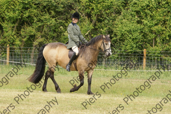 Family Horse 04 
 NRCS Class 20 Family Horse