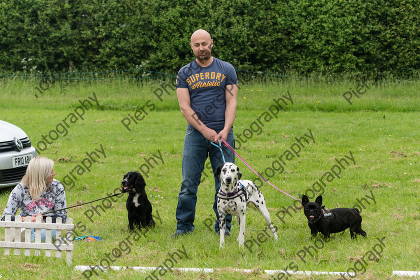 NRC Dog Show 026 
 Naphill Riding Club Open Show 
 Keywords: Naphill Riding Club, Open Show, Equestrian, Piers Photography, Bucks Wedding Photographer