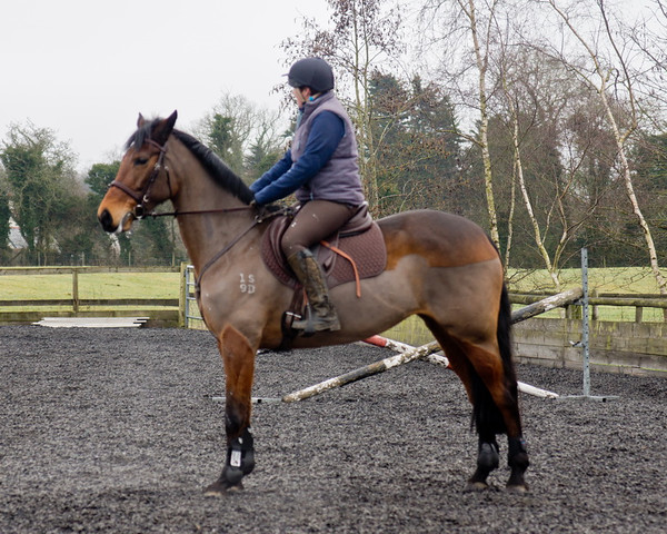 Ollie and Blyth Lesson 11 
 Ollie and Blyth Lesson 
 Keywords: Piers Photo, Moses Plat Yard, Ollie, Blyth, Mary Hilder, Jo Reynolds