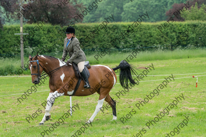 Ring 2 Afternoon 014 
 Naphill Riding Club Open Show 
 Keywords: Naphill Riding Club, Open Show, Equestrian, Piers Photography,
Bucks Wedding Photographer