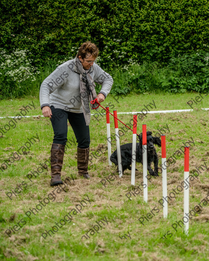 NRC Dog Show 066 
 Naphill Riding Club Open Show 
 Keywords: Naphill Riding Club, Open Show, Equestrian, Piers Photography, Bucks Wedding Photographer