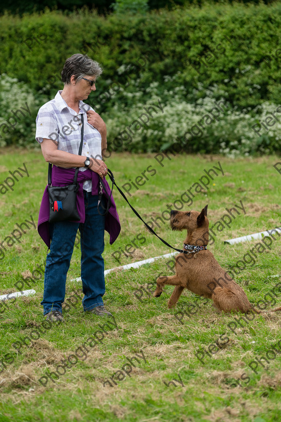 NRC Dog Show 038 
 Naphill Riding Club Open Show 
 Keywords: Naphill Riding Club, Open Show, Equestrian, Piers Photography, Bucks Wedding Photographer